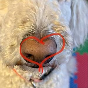 Meet your Posher, Tania